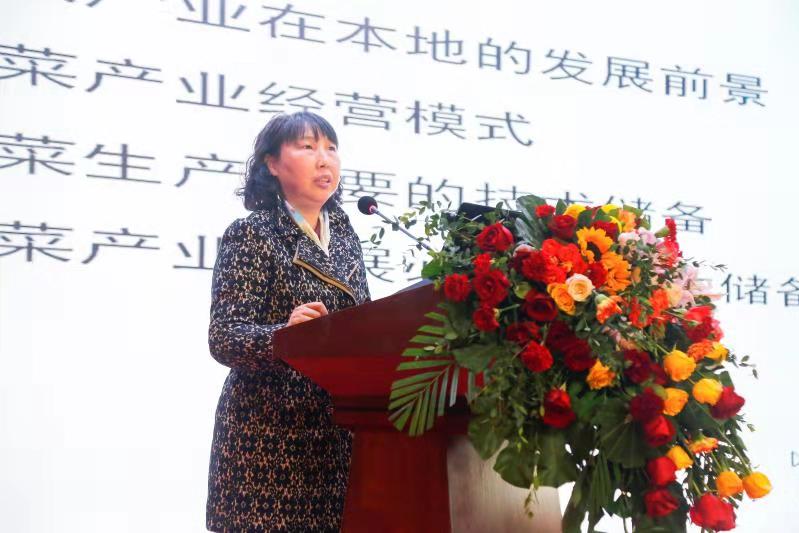肥乡2.jpg 肥乡2.jpg