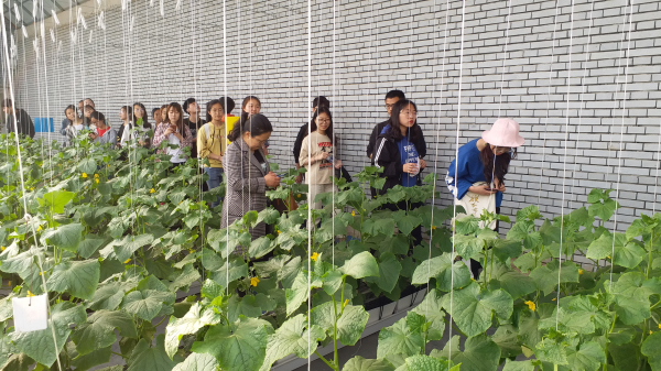 微信图片_20190424091456_编辑.jpg 微信图片_20190424091456_编辑.jpg