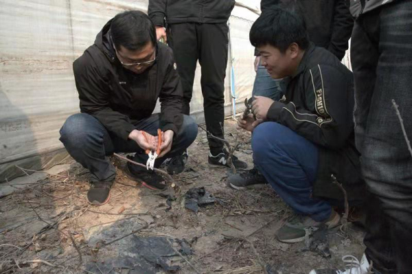 微信图片_20190315164021_编辑.jpg 微信图片_20190315164021_编辑.jpg